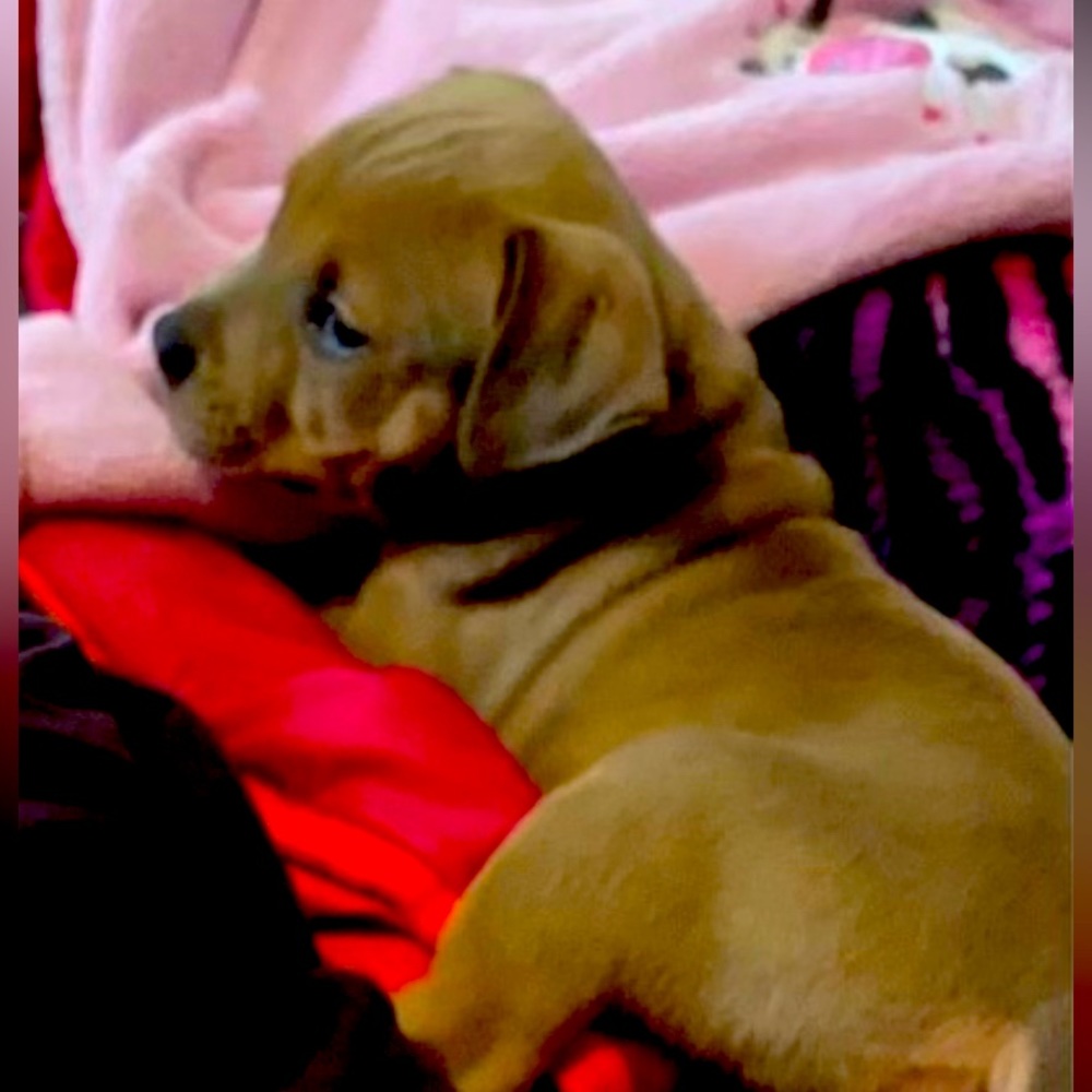 Meet your Posher, Nelly